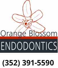 Dr. Adam Bergman, D.M.D. Orange Blossom Endodontics